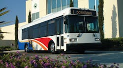 Ezriderii 10067083 Ezriderii 10067083