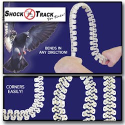 Shocktrackforbirds 10067363