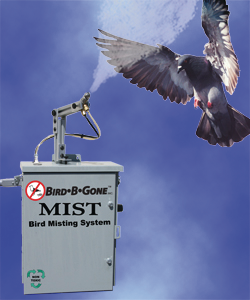 Birdbgonemist 10067612