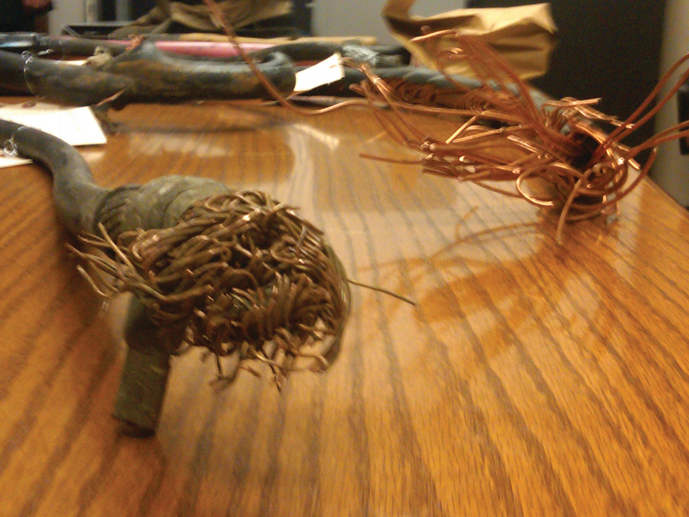 Evidencebart 10479274