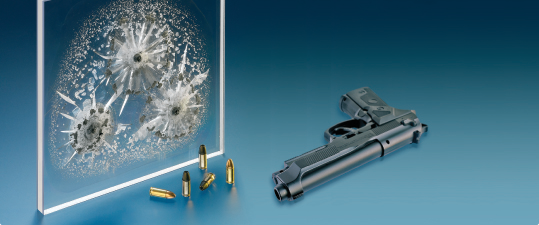 Palshield Gun Web 10476544