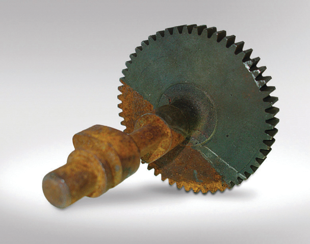 Biorustapplication 10643725