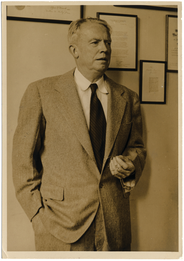 Elwynseelyephotocourtesyofseel 10654703