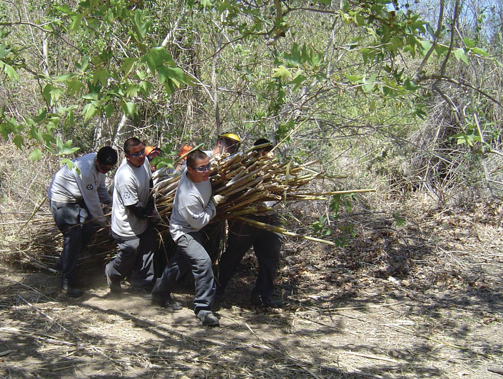Youth team at work removing debris and helping to restore the ecosystem on property purchased through OCTA&rsquo;s Freeway Environmental Mitigation Program.