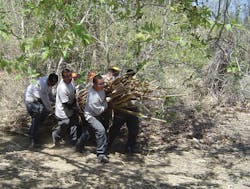 Youth team at work removing debris and helping to restore the ecosystem on property purchased through OCTA’s Freeway Environmental Mitigation Program. Youth team at work removing debris and helping to restore the ecosystem on property purchased through OCTA’s Freeway Environmental Mitigation Program.