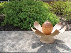 Sustainabilityaward 10687253 Sustainabilityaward 10687253