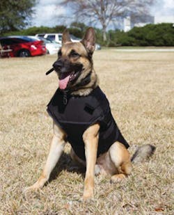 Bark9caninevest42012 10708274 10735941 Bark9caninevest42012 10708274 10735941