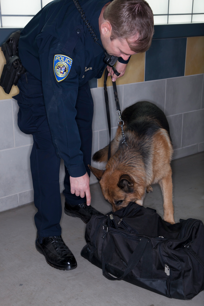 BART police officers say they've caught big time criminals breaking minor laws on their system since increasing patrols in 2011.