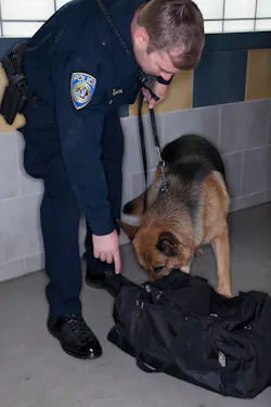 BART police officers say they've caught big time criminals breaking minor laws on their system since increasing patrols in 2011. BART police officers say they've caught big time criminals breaking minor laws on their system since increasing patrols in 2011.