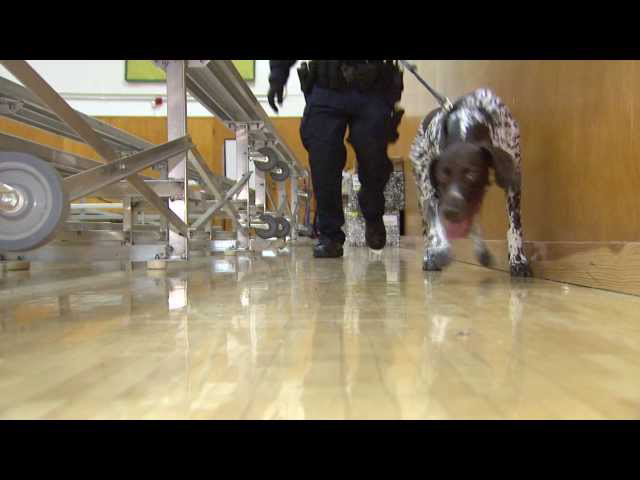 Sddefault jpg 10959901