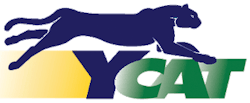 Yuma Ycat Logo 11126746