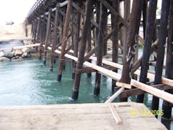 Timber trestles from a bridge built in 1948