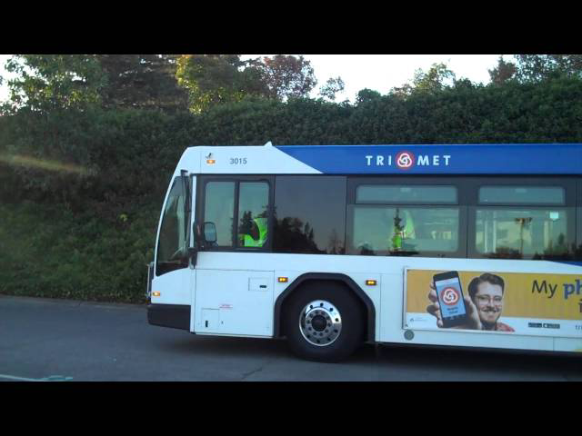 Sddefault jpg 11242916