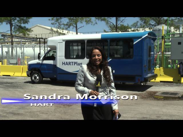 Sddefault jpg 11392565