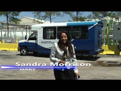 Sddefault jpg 11392565 Sddefault jpg 11392565