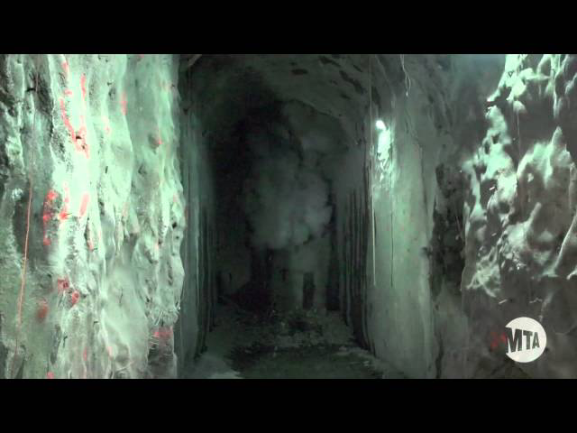 Sddefault jpg 11410289