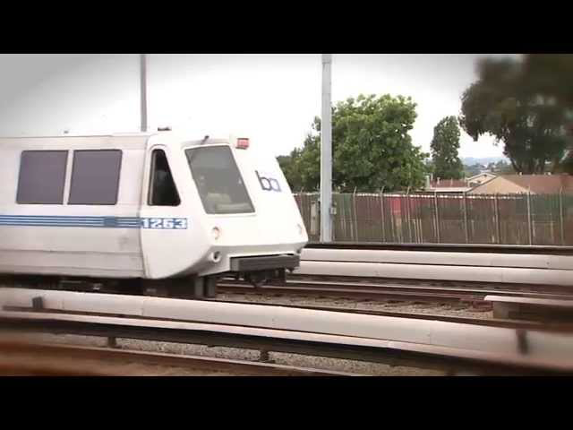 Sddefault jpg 11590703