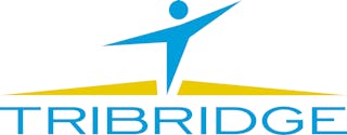 tribridge logo