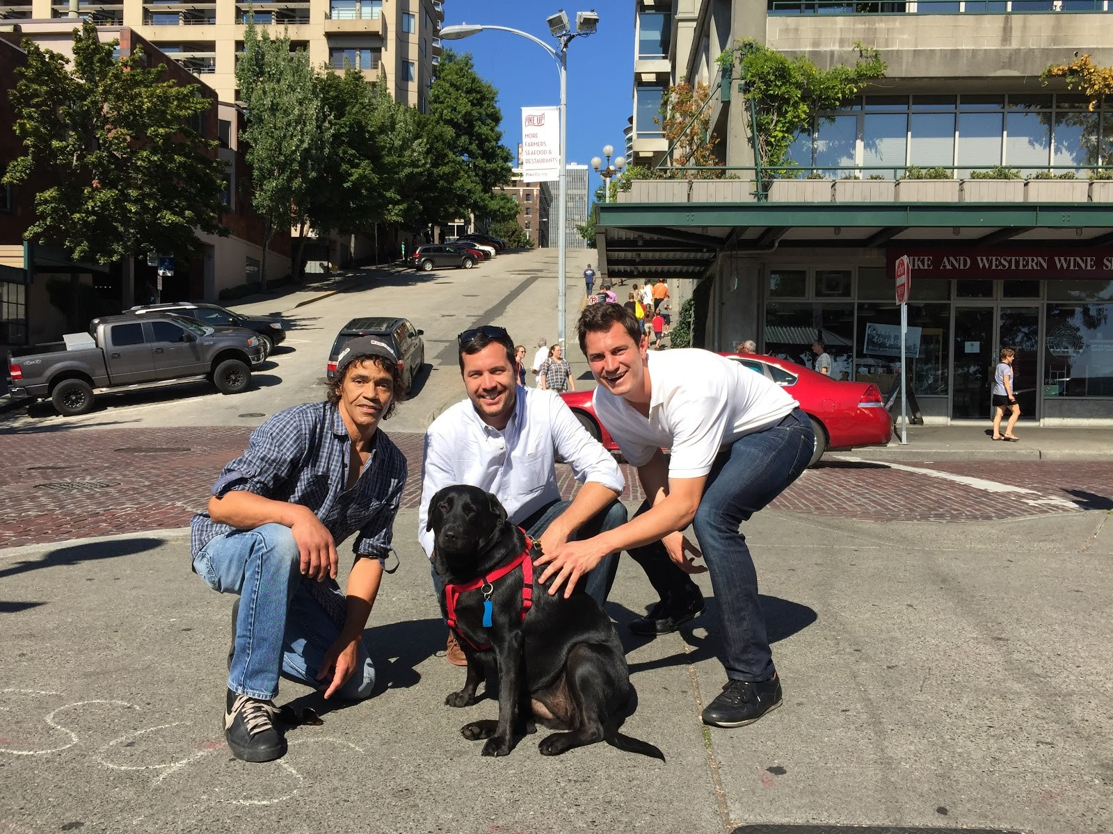 Eclipse, of Seattle, is TransitScreen's first official mascot.