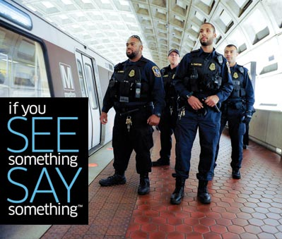 Seesaytw 564a1059a6141