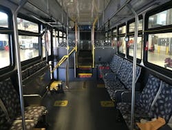 Img 6697 56fd35c8773da Img 6697 56fd35c8773da