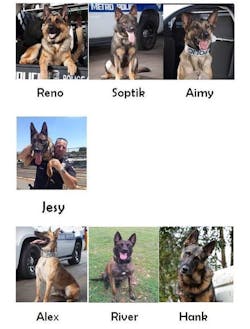 Metro's police dogs set to receive vests. Metro's police dogs set to receive vests.