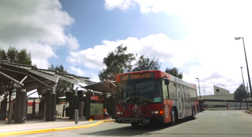 Corpus Christi Regional Transportation Authority Wins Gold Muse ...