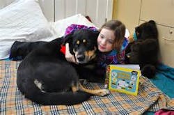 Children will be improving their reading skills by reading aloud to certified pet therapy animals that are part of the DOGTORs program. Children will be improving their reading skills by reading aloud to certified pet therapy animals that are part of the DOGTORs program.