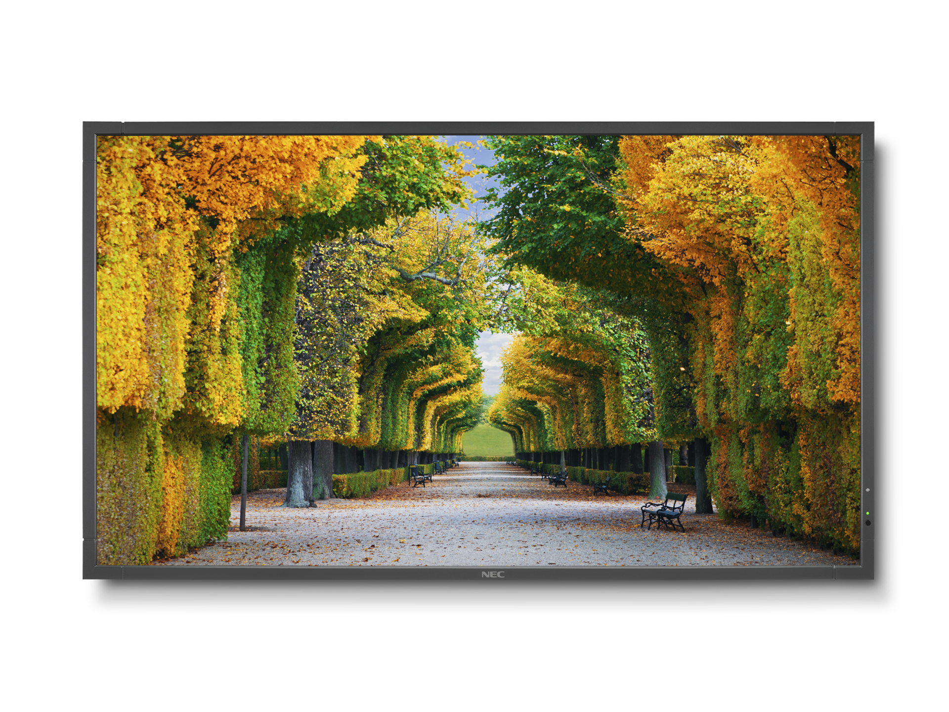 X554 Hb Ho Rgb 300 578918fbcf555