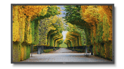 X554HB HO RGB 300 578918fbcf555 X554HB HO RGB 300 578918fbcf555