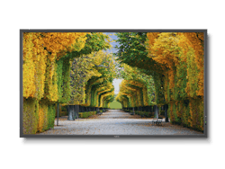 X554 Hb Ho Rgb 300 578918fbcf555 X554 Hb Ho Rgb 300 578918fbcf555