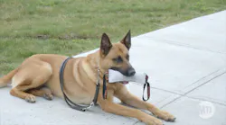 MTA PD Canine Training Facility