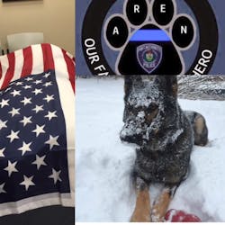 K9 Officer Aren was a treasured officer and will always be remembered by the Port Authority of Allegheny County Police.