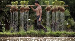 20170123 Foundation 800x320 588627b51a8fd 20170123 Foundation 800x320 588627b51a8fd