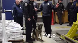 carlo 586d3ac24671e