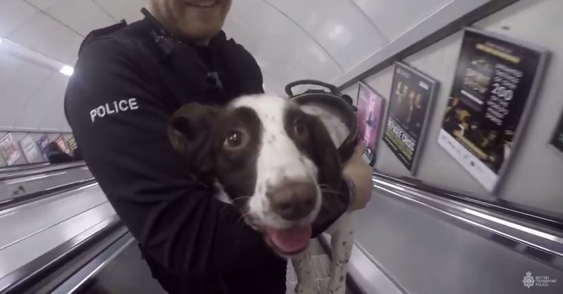 Chester 586d3bc921483