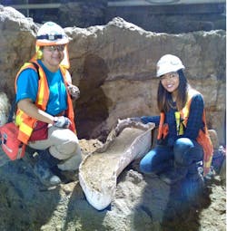 Cogstone workers place ancient elephant bone in plaster cast to safely remove it from the Wilshire/La Brea subway station excavation. Cogstone workers place ancient elephant bone in plaster cast to safely remove it from the Wilshire/La Brea subway station excavation.