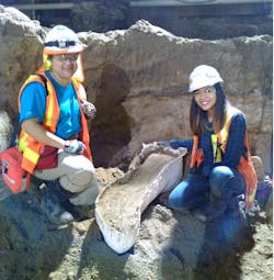 Cogstone workers place ancient elephant bone in plaster cast to safely remove it from the Wilshire/La Brea subway station excavation.