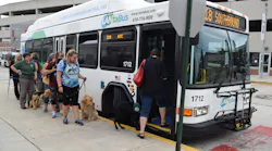 Guide dogs lining up for boarding.