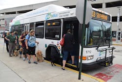 Guide dogs lining up for boarding. Guide dogs lining up for boarding.