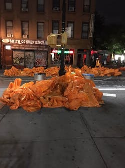 Recovered trash from Carroll St. Station.