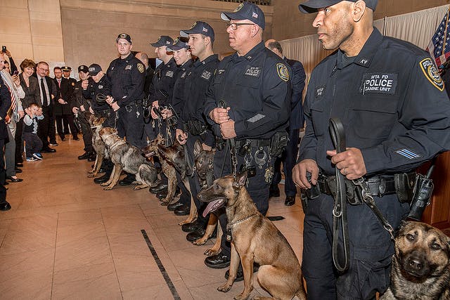 Thirteen canine and police officer teams graduated from Metropolitan Transportation Authority Police Department explosives detection and anti-terrorism training on January 31.