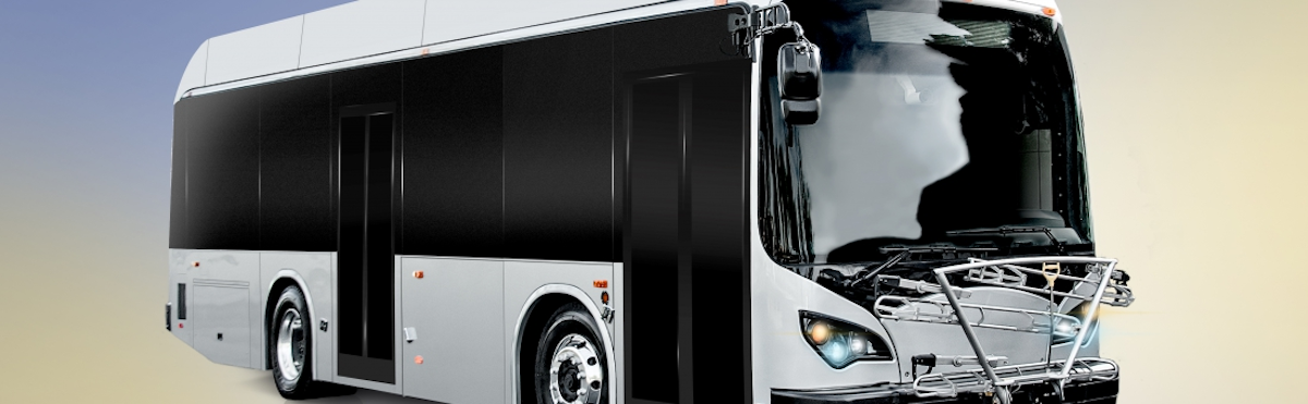 Louisiana Capital City Orders Thee Byd Buses To Further Cats