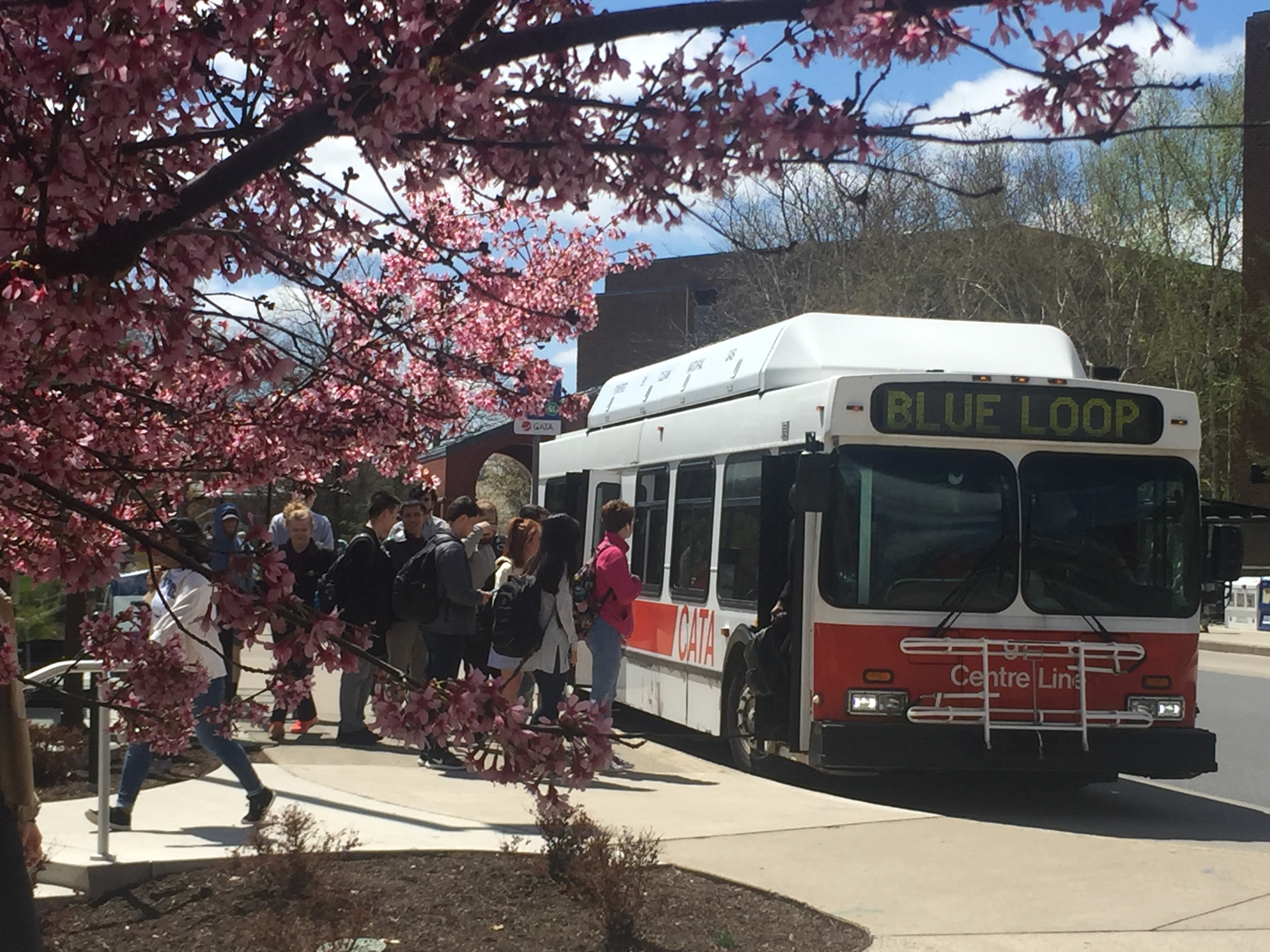 First Runner-Up submitted by Supriya Pant.