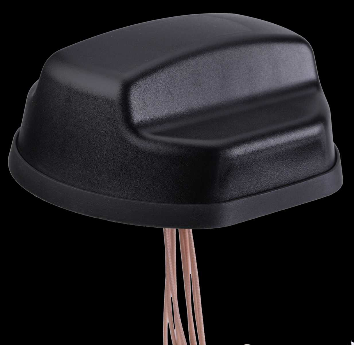 Coach Tm Ii 5be4afe18e64d