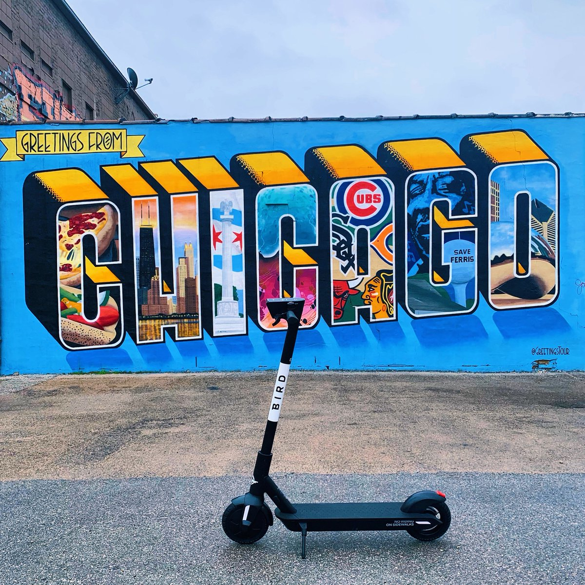 Bird scooters launch in Chicago Mass Transit