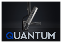 Quantum W Logo[1][1]