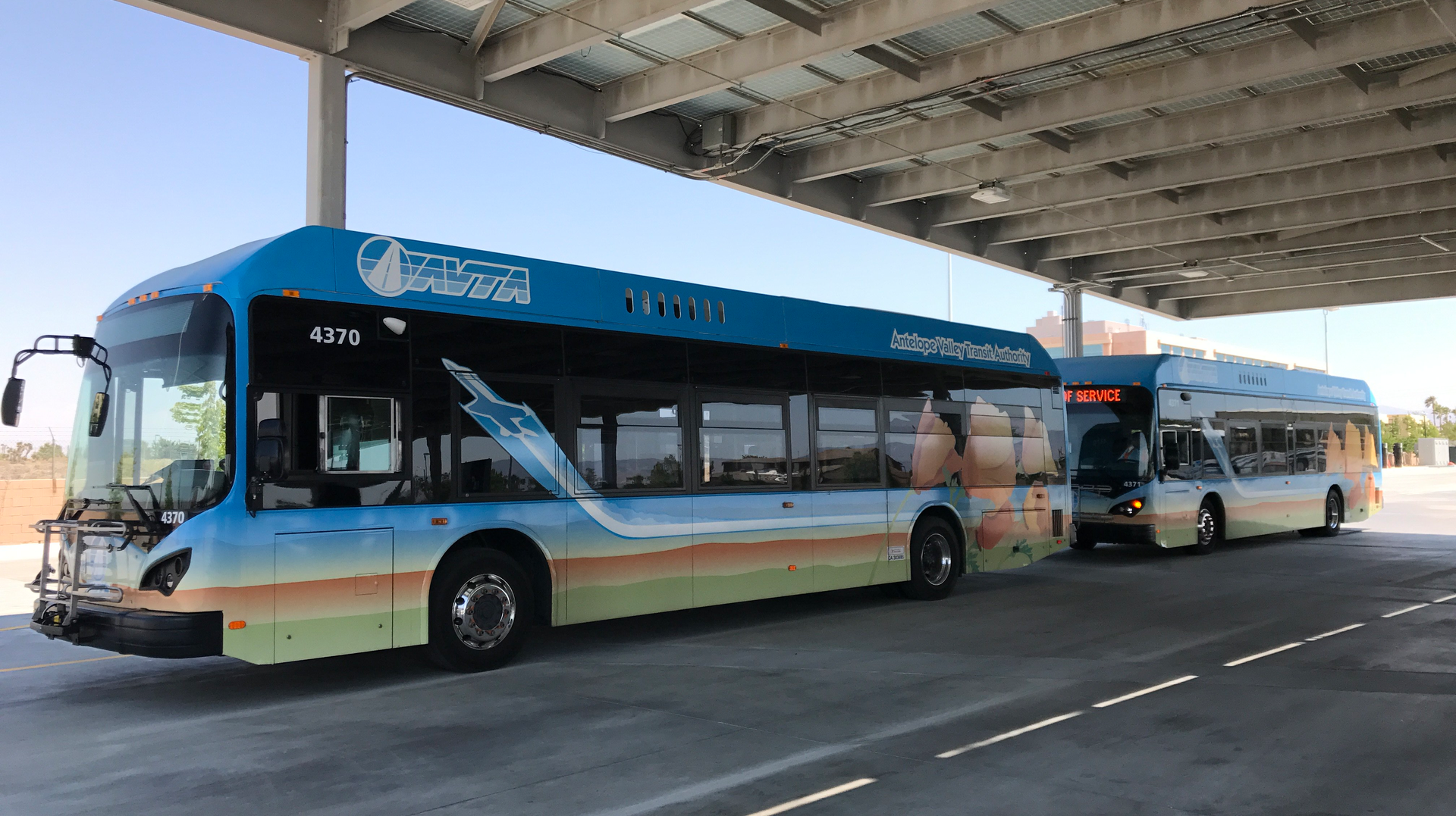 Avta Byd Electric Buses Credit Avta 5e208ab8487f2