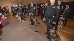 Mta