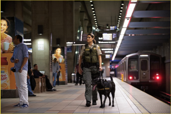 La Metro 5e4acac4c7c96